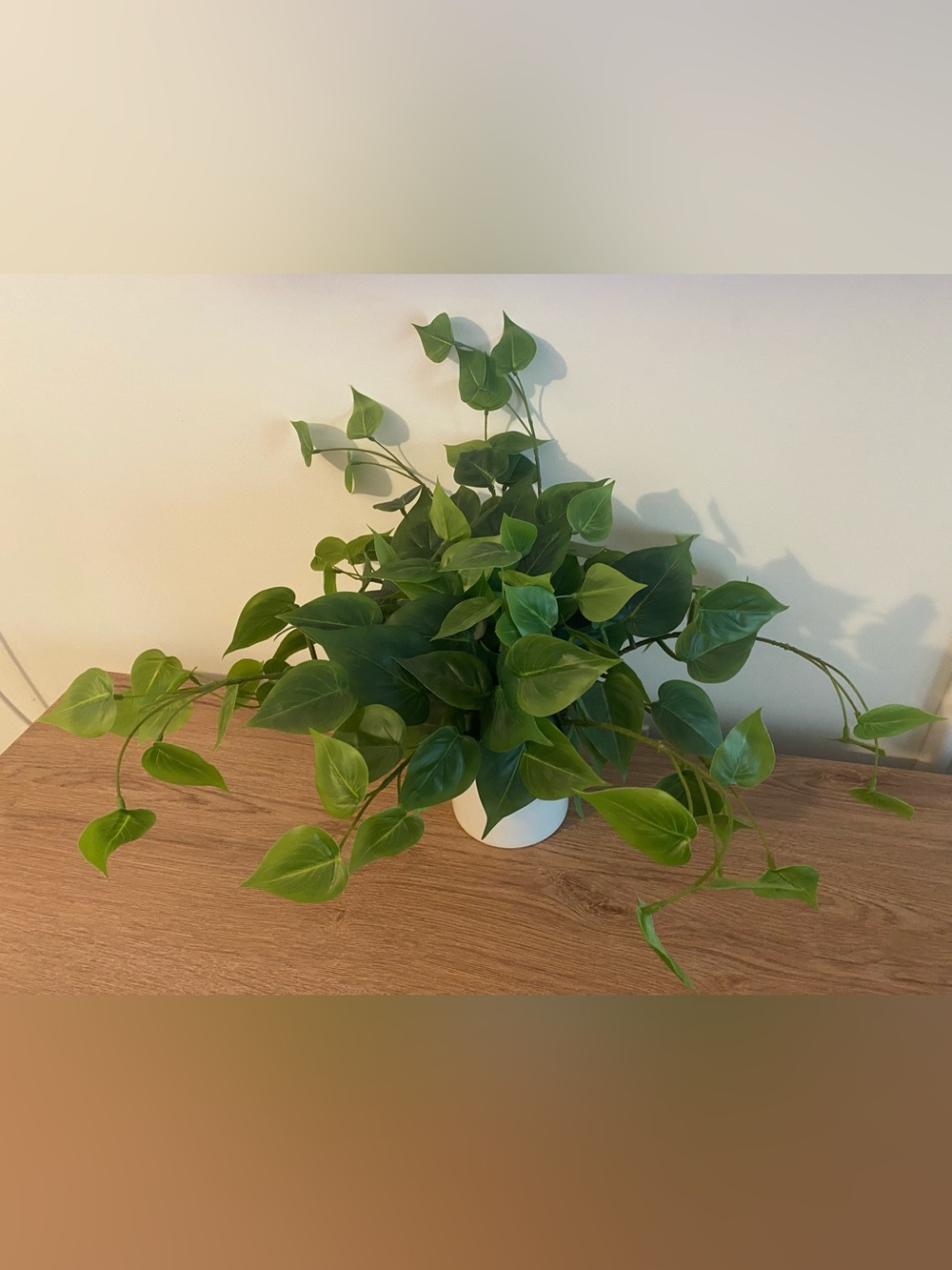 Artificial Pothos Plant